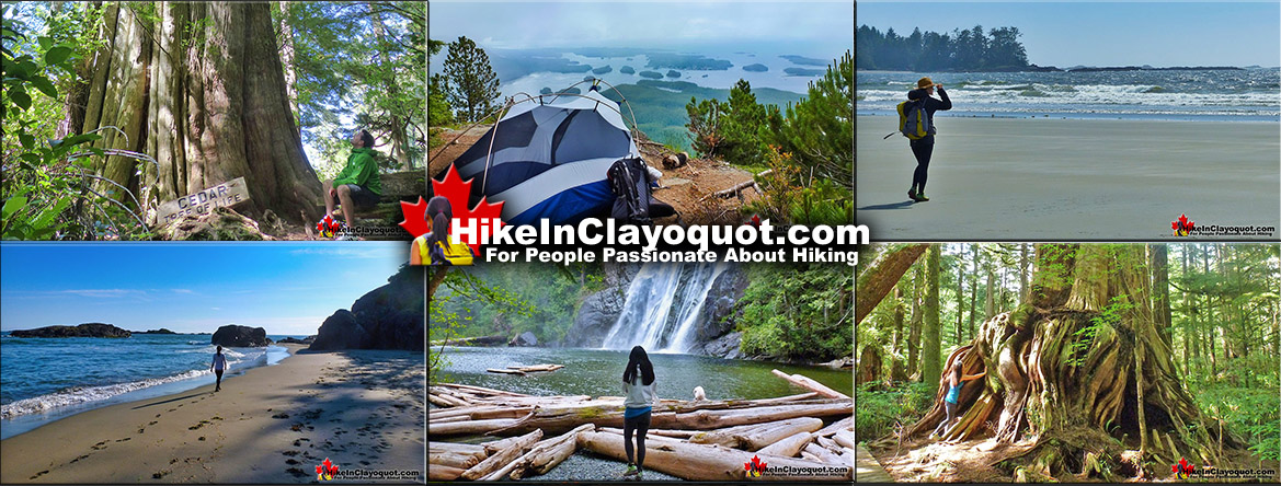 Best Tofino and Clayoquot Hiking