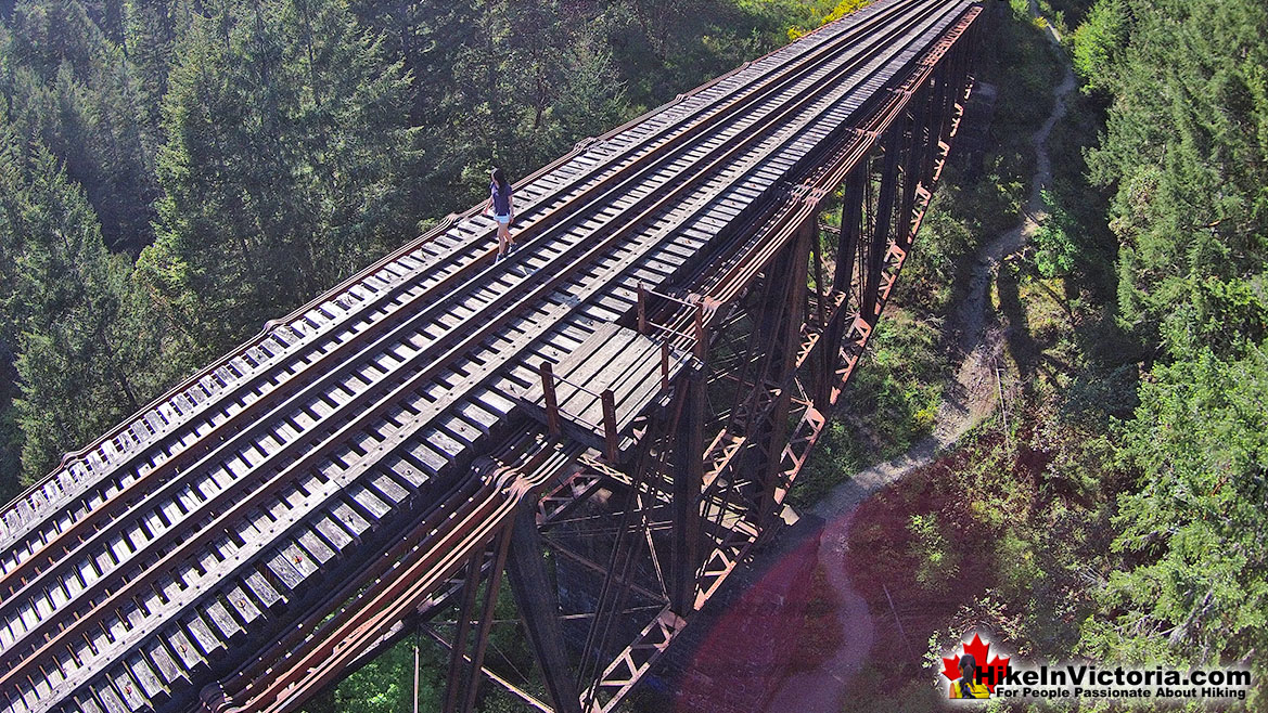 Goldstream Park Train Trestle