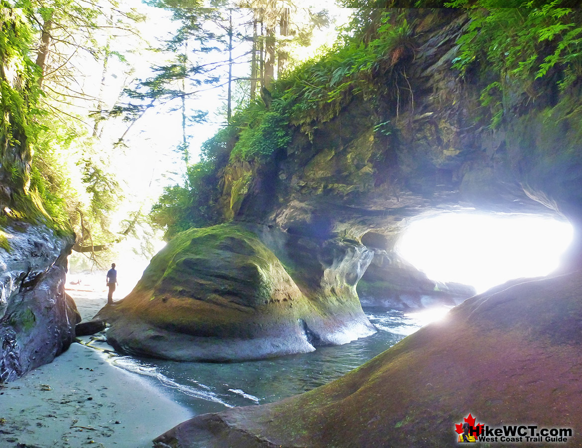 Amazing West Coast Trail