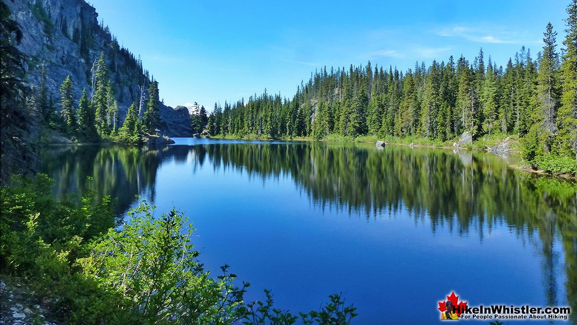 Beautiful Newt Lake Near Ancient Cedars