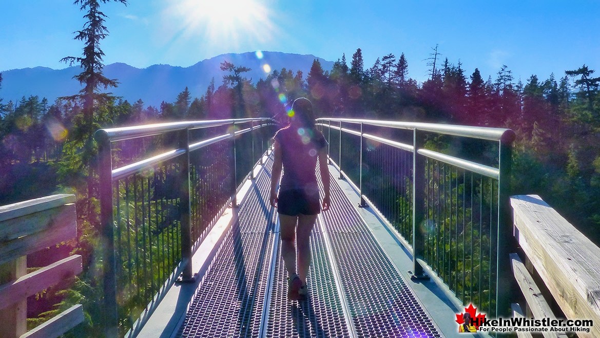 Whistler Bungee Bridge