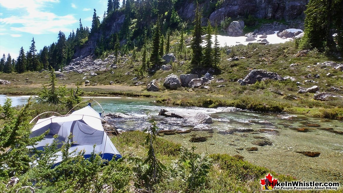 Brandywine Meadows Tent View