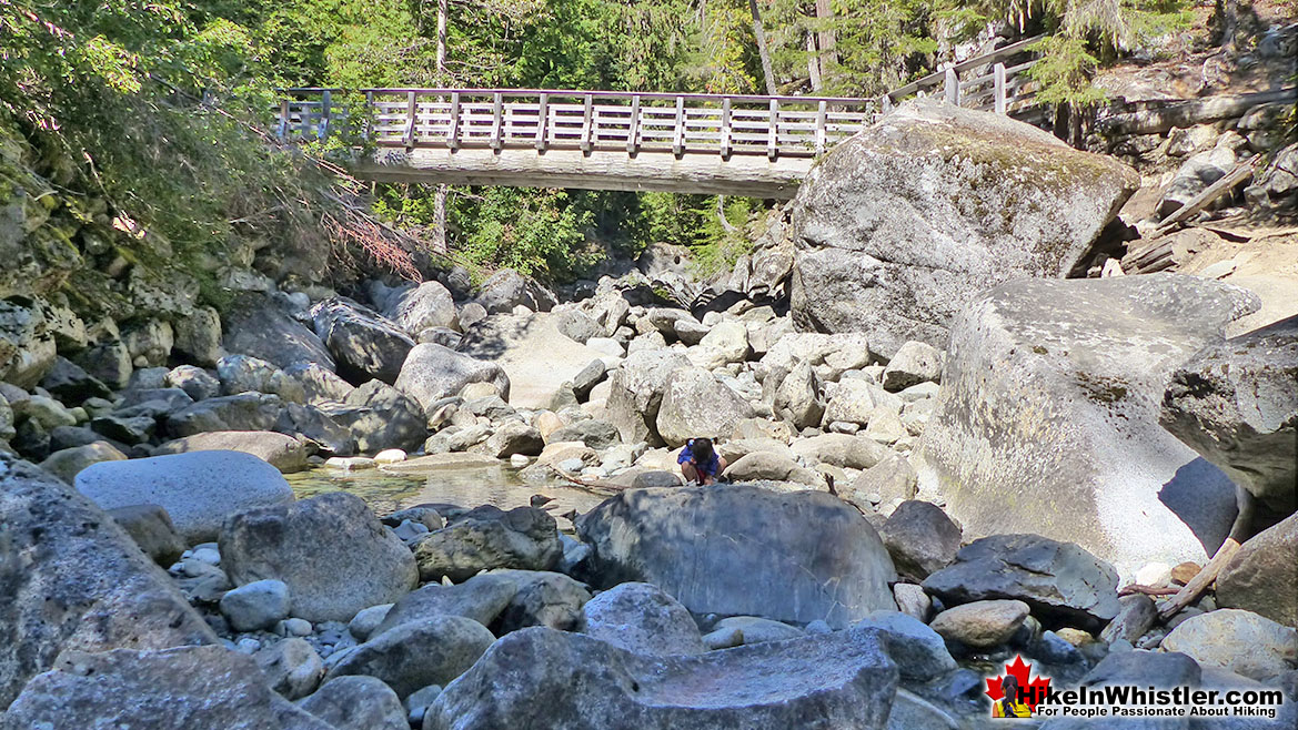 The Rainbow Falls, Flank Trail Bridge