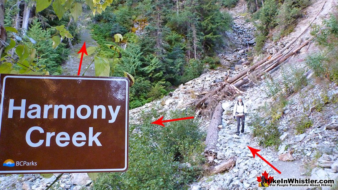 Singing Pass Trail to Russet Lake