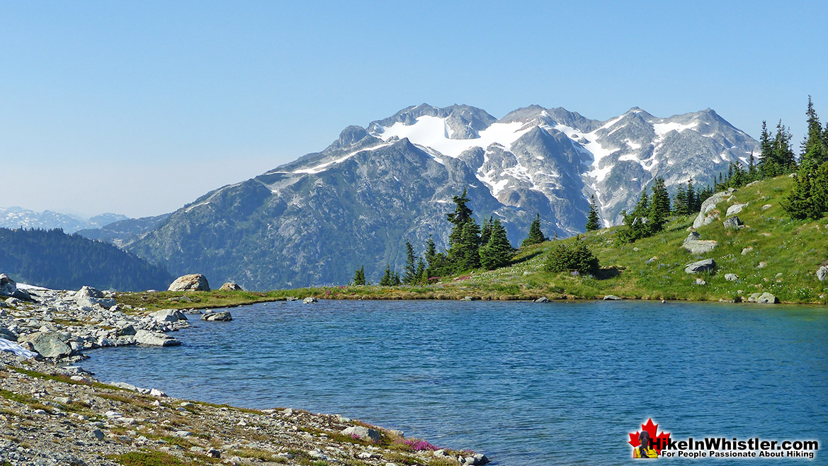 Sproatt Trail View